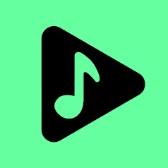 Hình thu nhỏ Musicolet Music Player