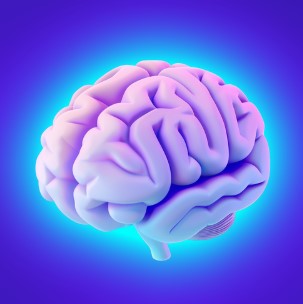 Focus - Rèn luyện trí não _ Ứng Dụng Trên Google Play