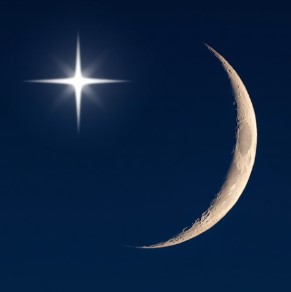 Hình thu nhỏ Amora - Astra Soulmate Draw