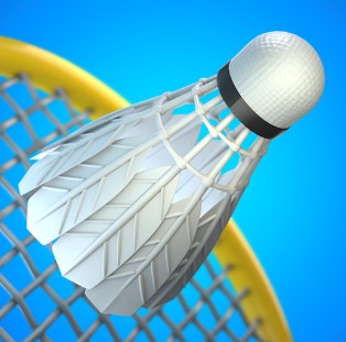 Hình thu nhỏ Cuộc đụng độ cầu lông 3D